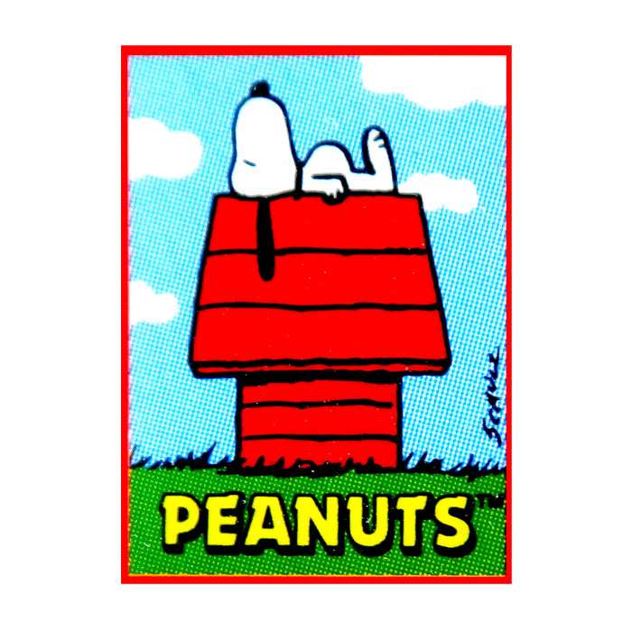 Snoopy & Peanuts Collection