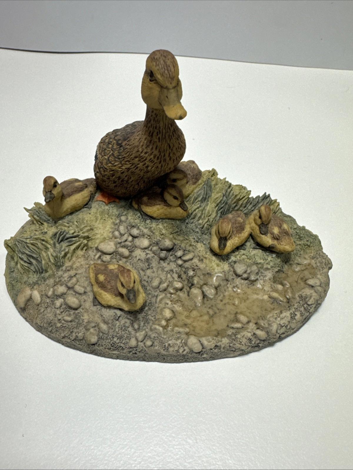 1986 Border Fine Arts "FAMILY LIFE'" Mallard Family WW17 Figurine