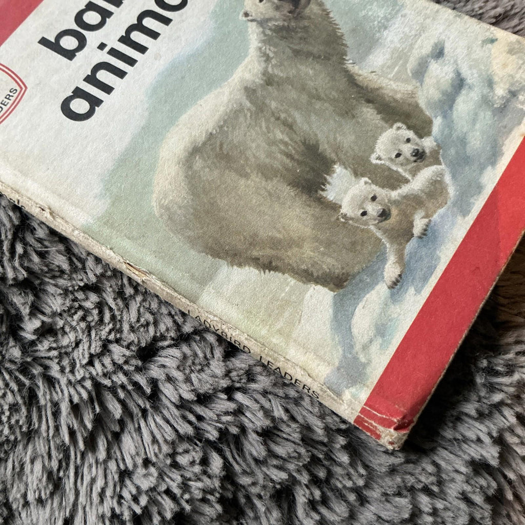 2 X Vintage Ladybird Books Baby Animals Lions And Tigers 1974
