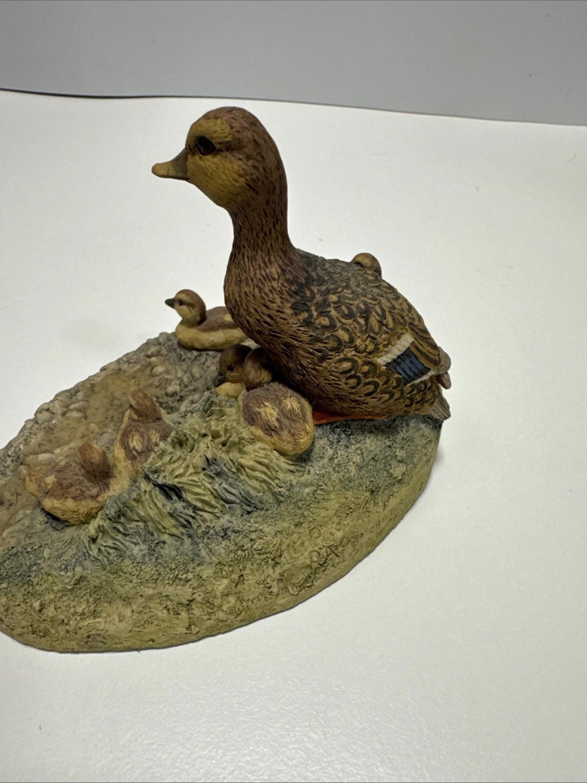 1986 Border Fine Arts "FAMILY LIFE'" Mallard Family WW17 Figurine