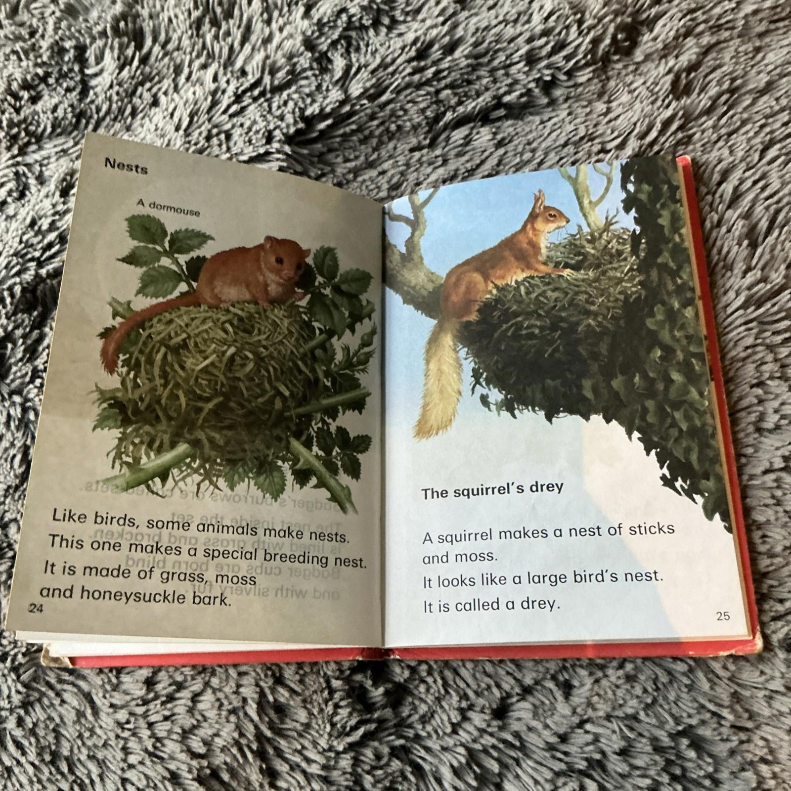 2 X Vintage Ladybird Books Baby Animals Lions And Tigers 1974