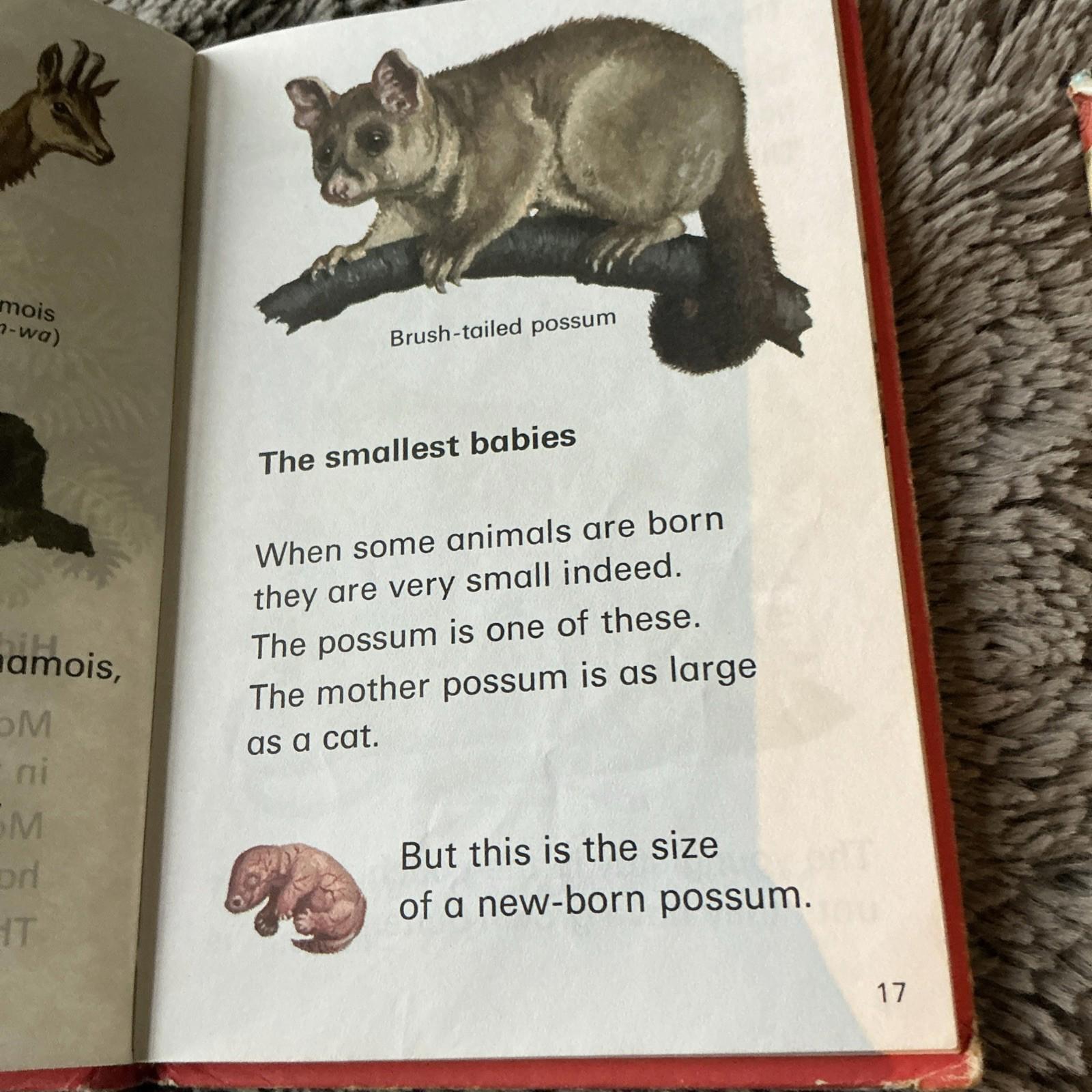 2 X Vintage Ladybird Books Baby Animals Lions And Tigers 1974
