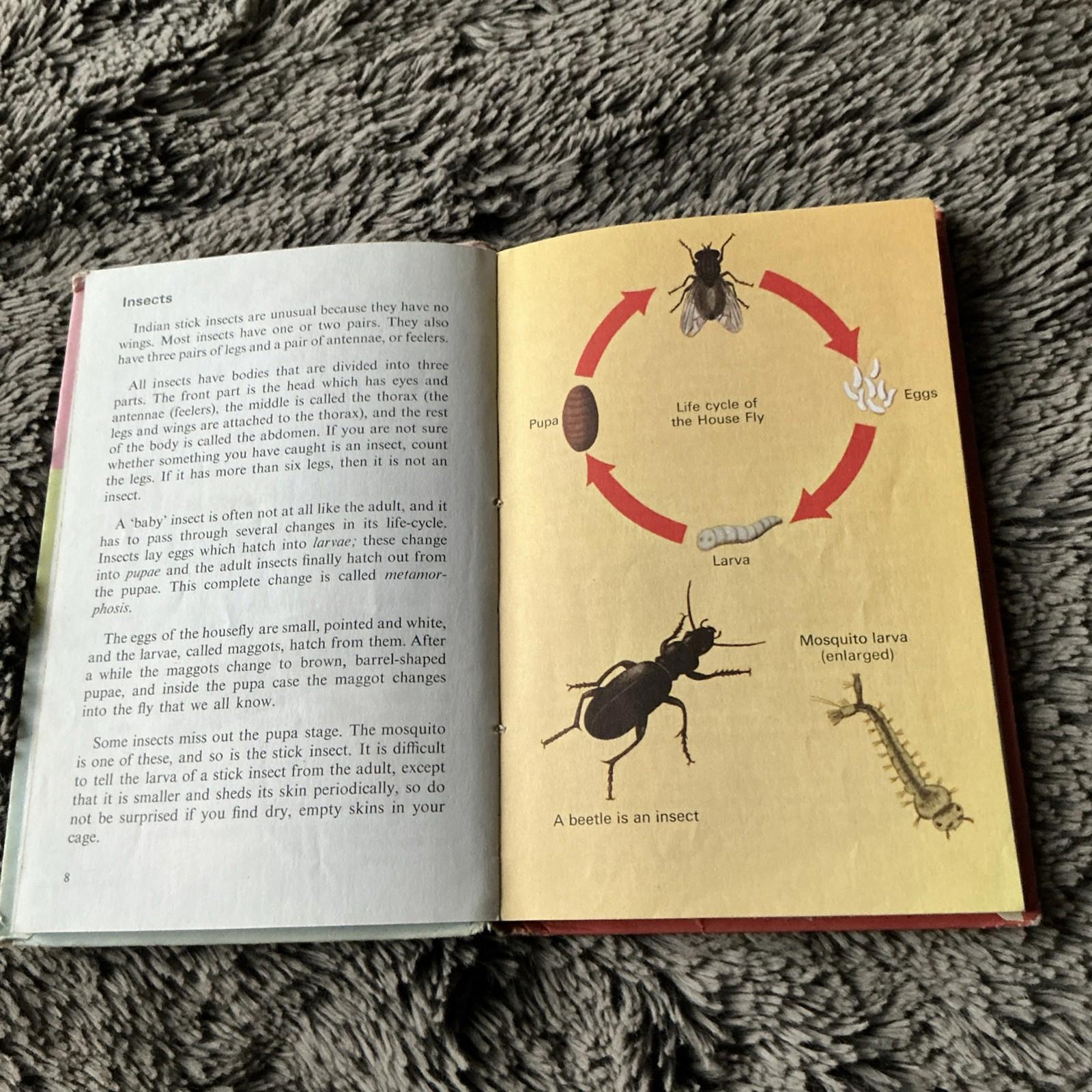 2 X Vintage Ladybird Books Insects & Small Animals And Pond Life 1972 1966