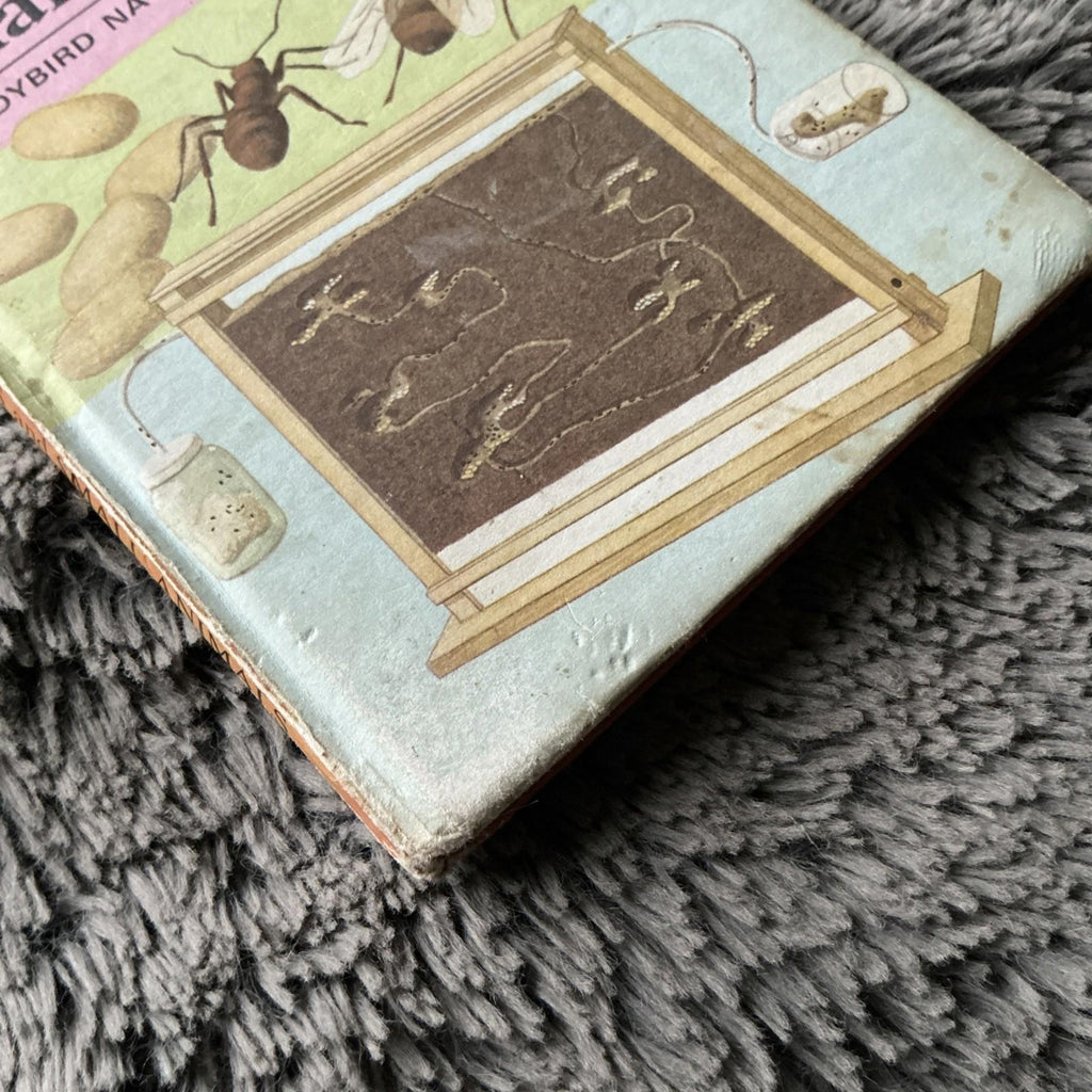 2 X Vintage Ladybird Books Insects & Small Animals And Pond Life 1972 1966