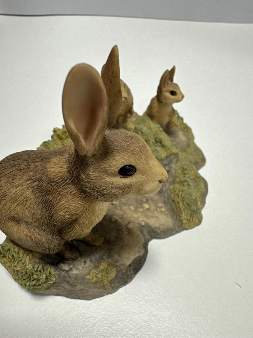 Border Fine Arts RW6 Rabbits Chiltern Collection