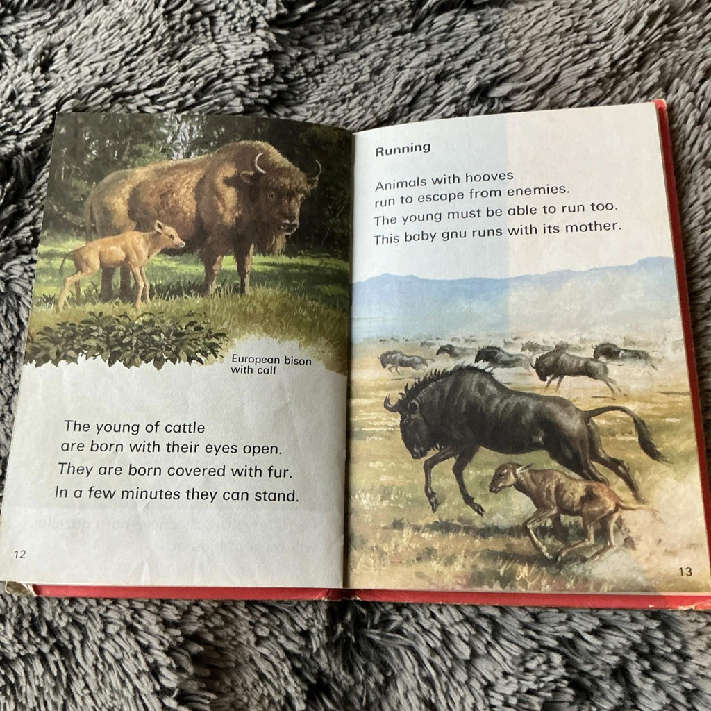 2 X Vintage Ladybird Books Baby Animals Lions And Tigers 1974