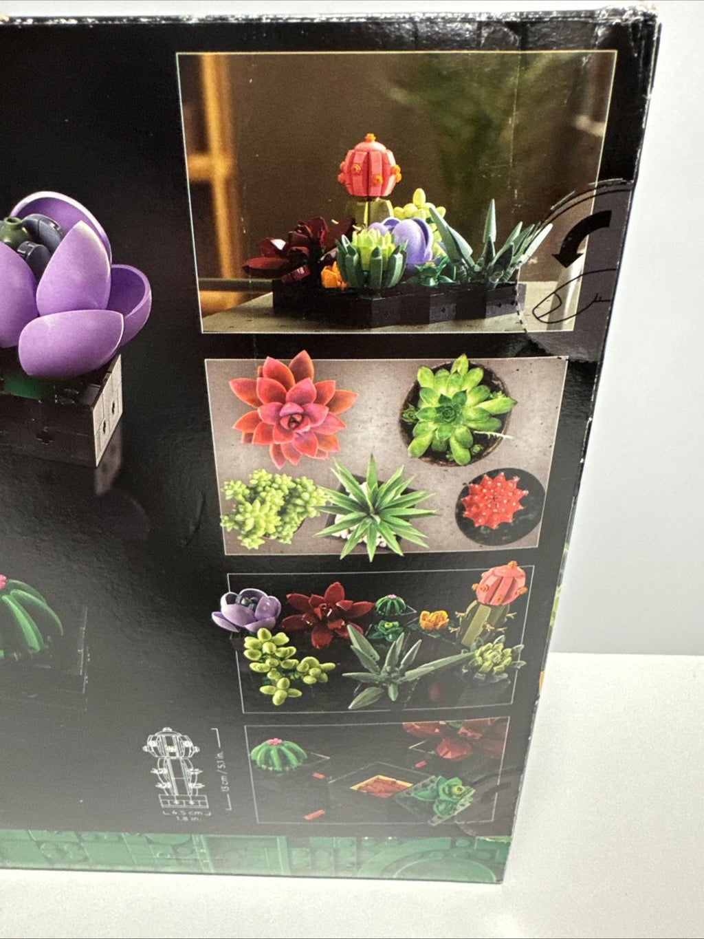 LEGO Botanicals: Succulents (10309)