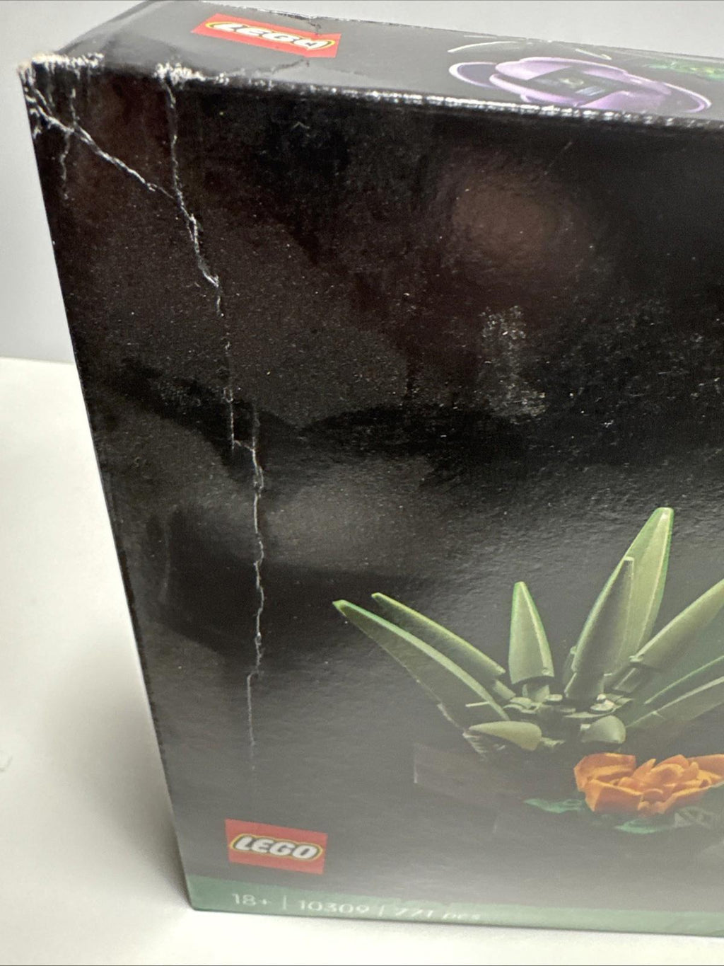 LEGO Botanicals: Succulents (10309)