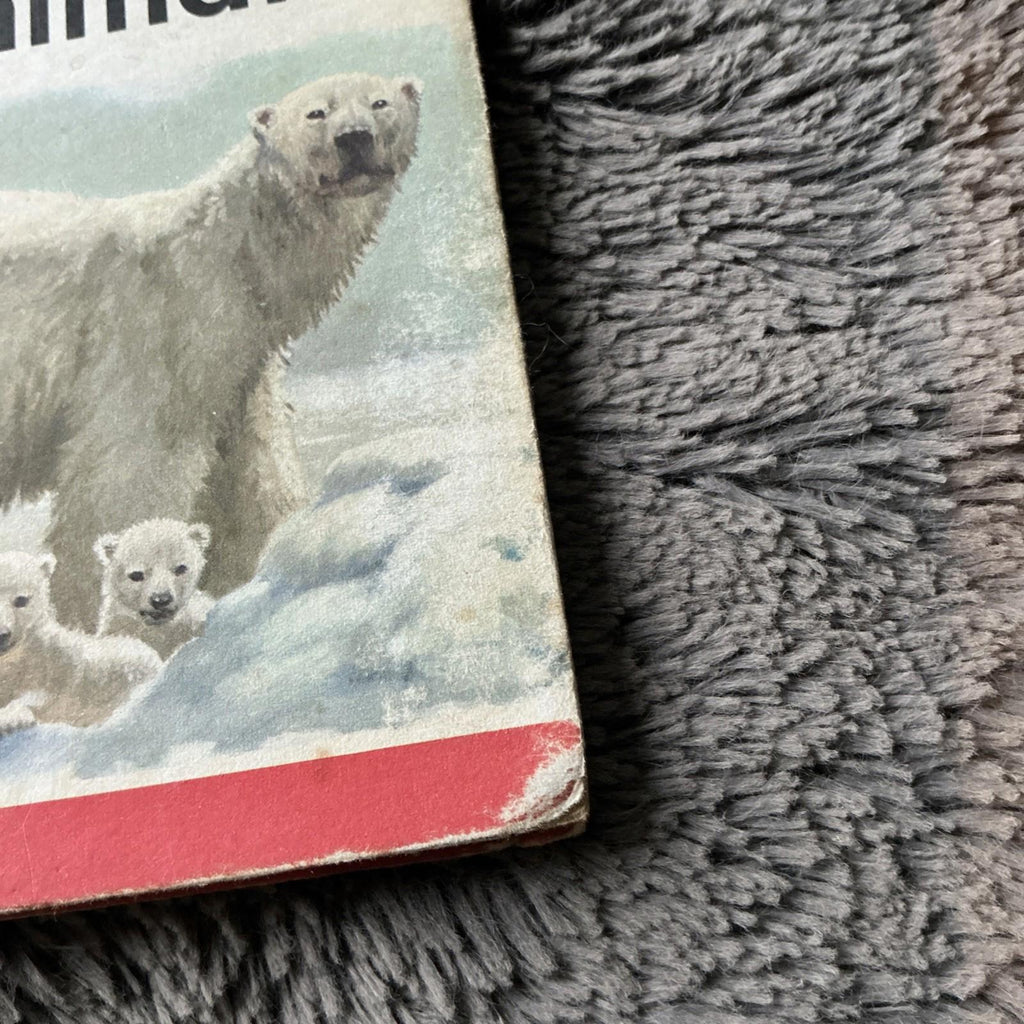 2 X Vintage Ladybird Books Baby Animals Lions And Tigers 1974