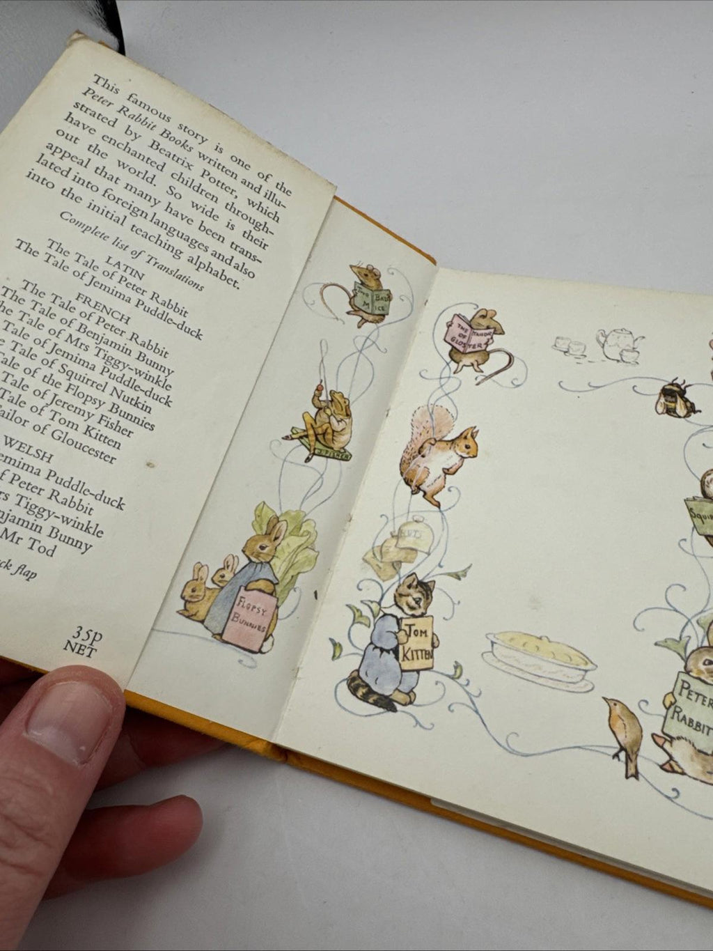 Beatrix Potter Book Bundle – Mrs. Tiggy-Winkle & Mr Jeremy Fisher 1987